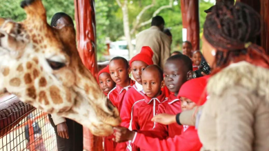 Introduction: Why July is Kenya's Premier Safari Month