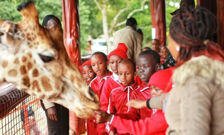 Introduction: Why July is Kenya's Premier Safari Month