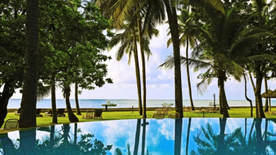 Kenya's 6 Most Stunning Beaches for Your Perfect Coastal Getaway