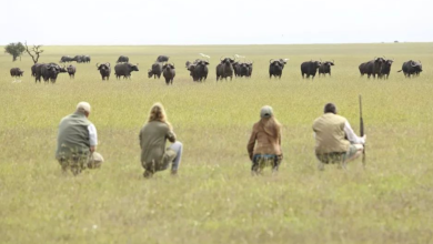 Kenya's Most Photogenic Locations: A Travel Photographer's Guide