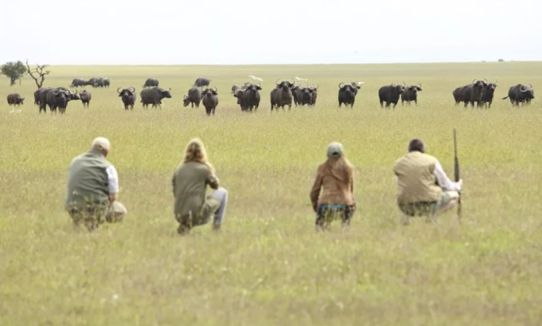 Kenya's Most Photogenic Locations: A Travel Photographer's Guide