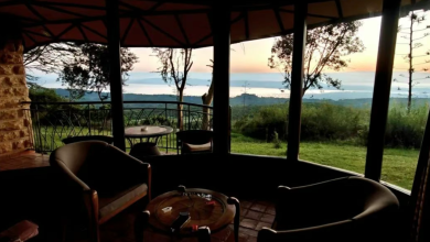 The Complete Guide to Lake Nakuru Sopa Lodge: Kenya's Wildlife Haven