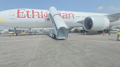 Kenya Airways Review: Is Africa's Pride Worth Flying?